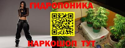 шишки Ликино-Дулёво