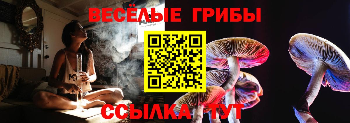 Псилоцибиновые грибы прущие грибы Йошкар-Ола